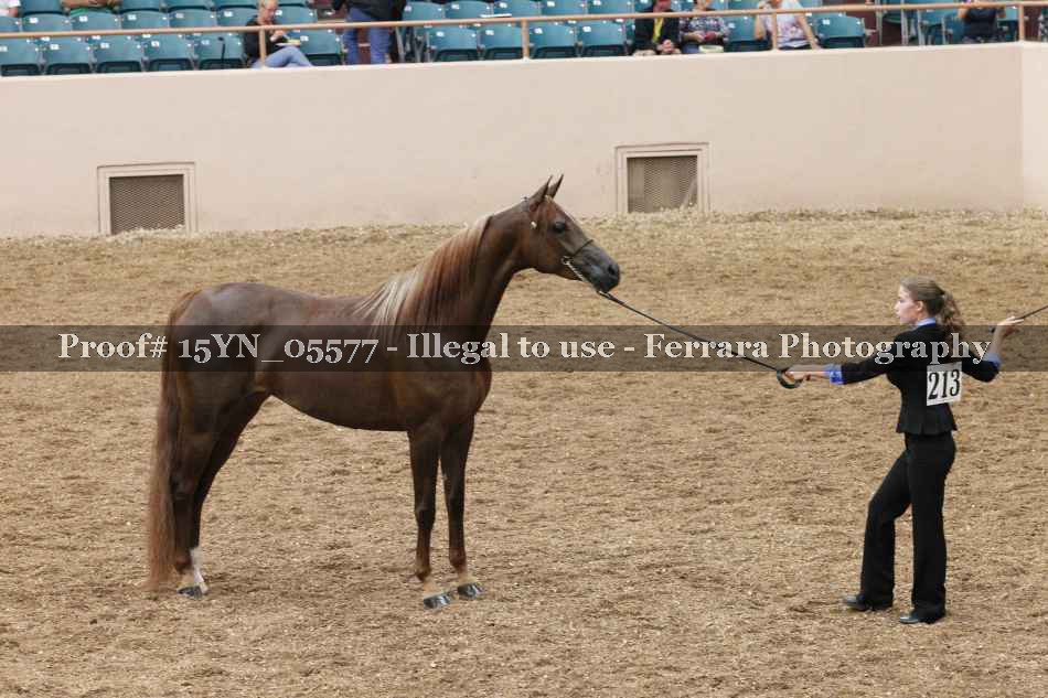 Proof 15YN_05577