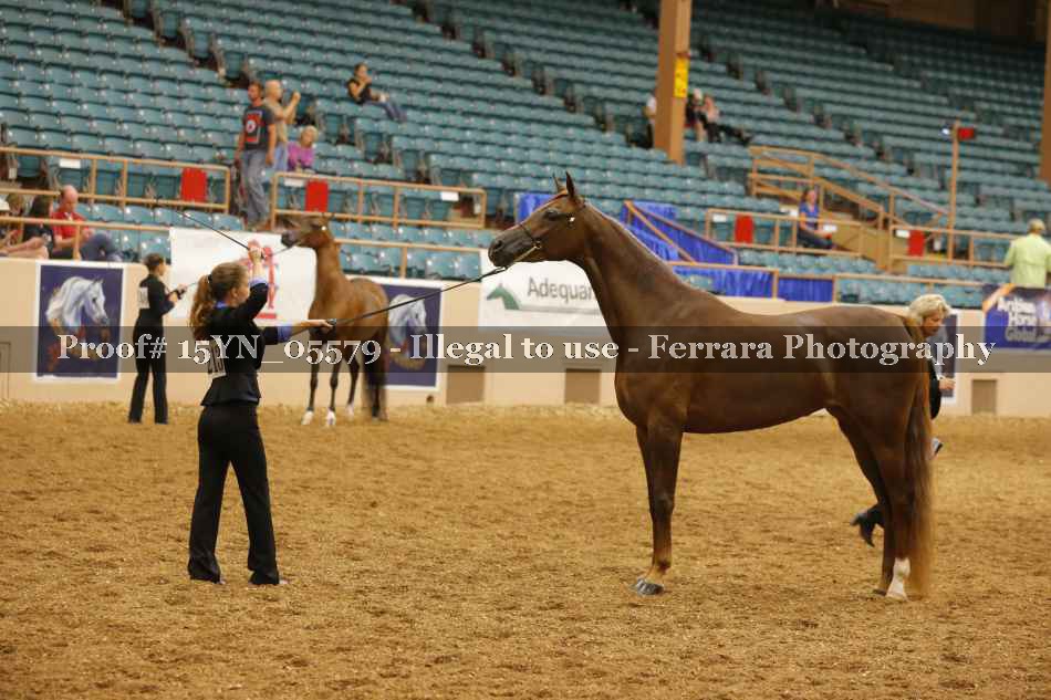 Proof 15YN_05579