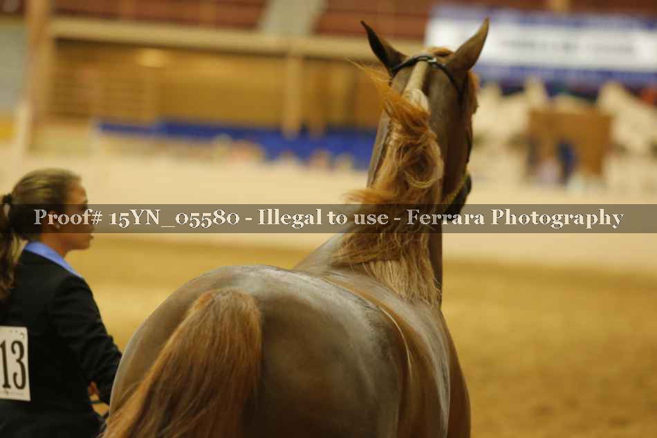 Proof 15YN_05580