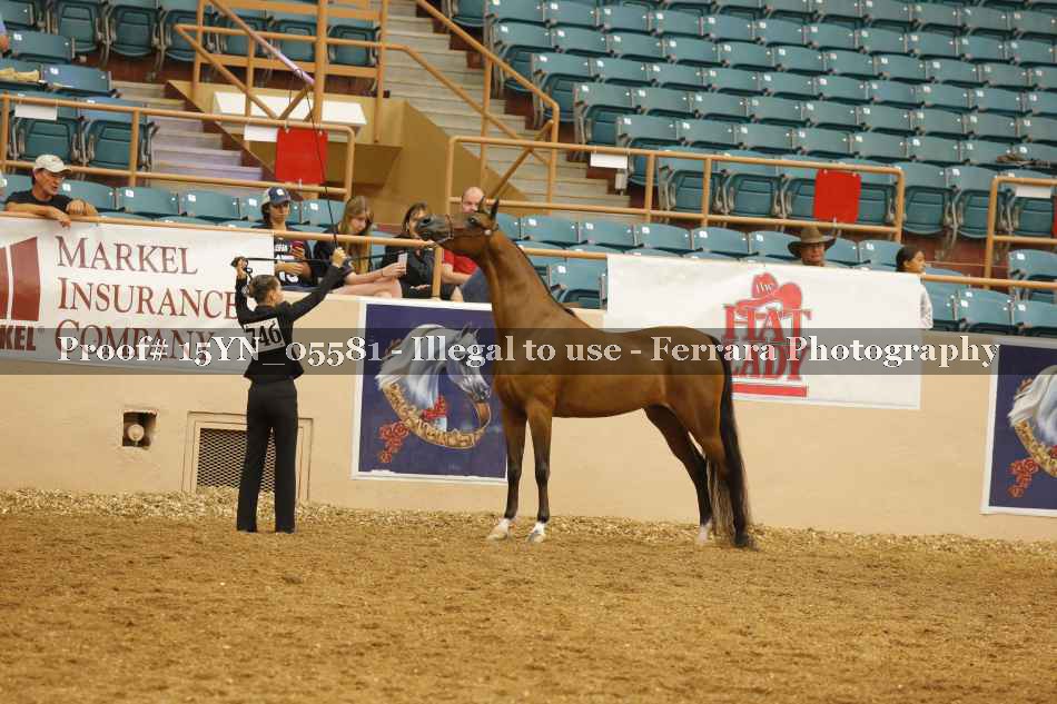 Proof 15YN_05581