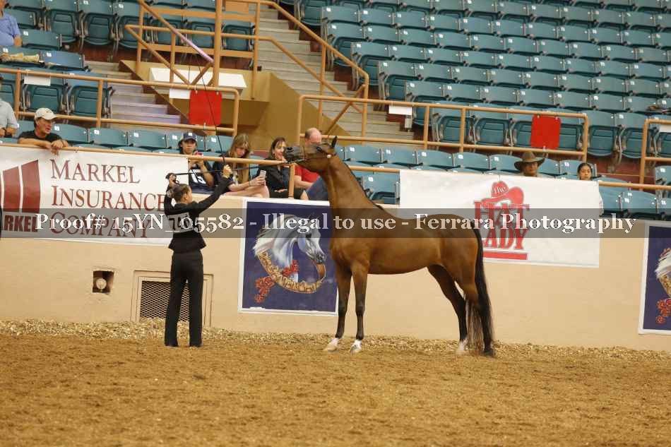Proof 15YN_05582
