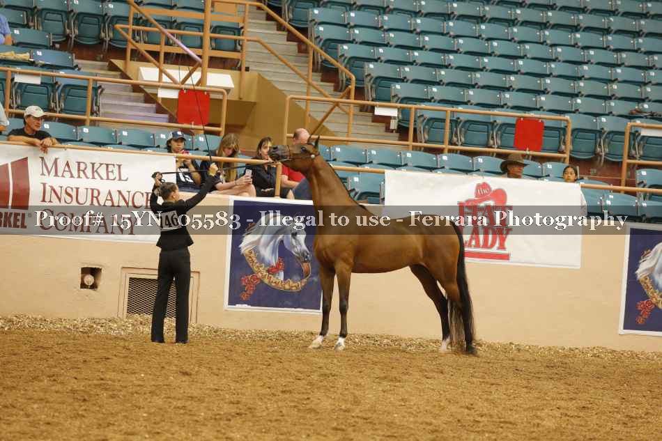 Proof 15YN_05583