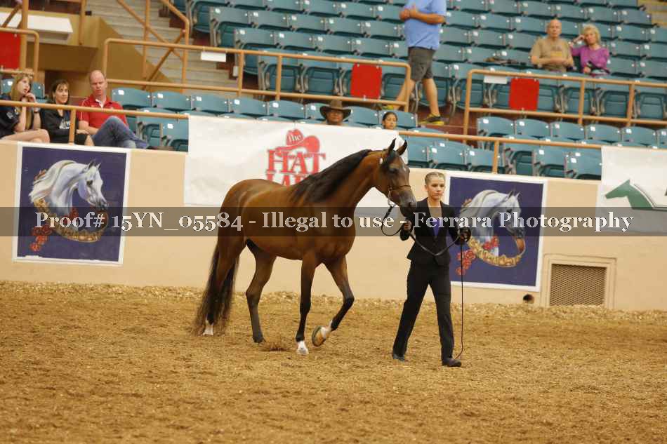 Proof 15YN_05584