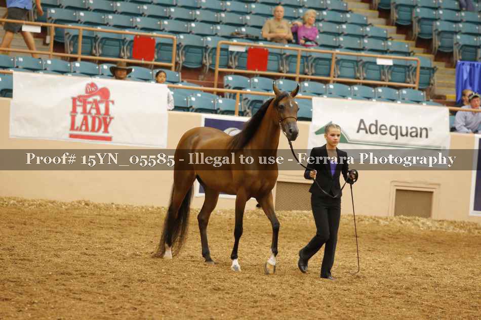 Proof 15YN_05585