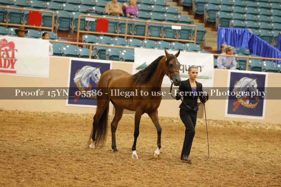 Proof 15YN_05586