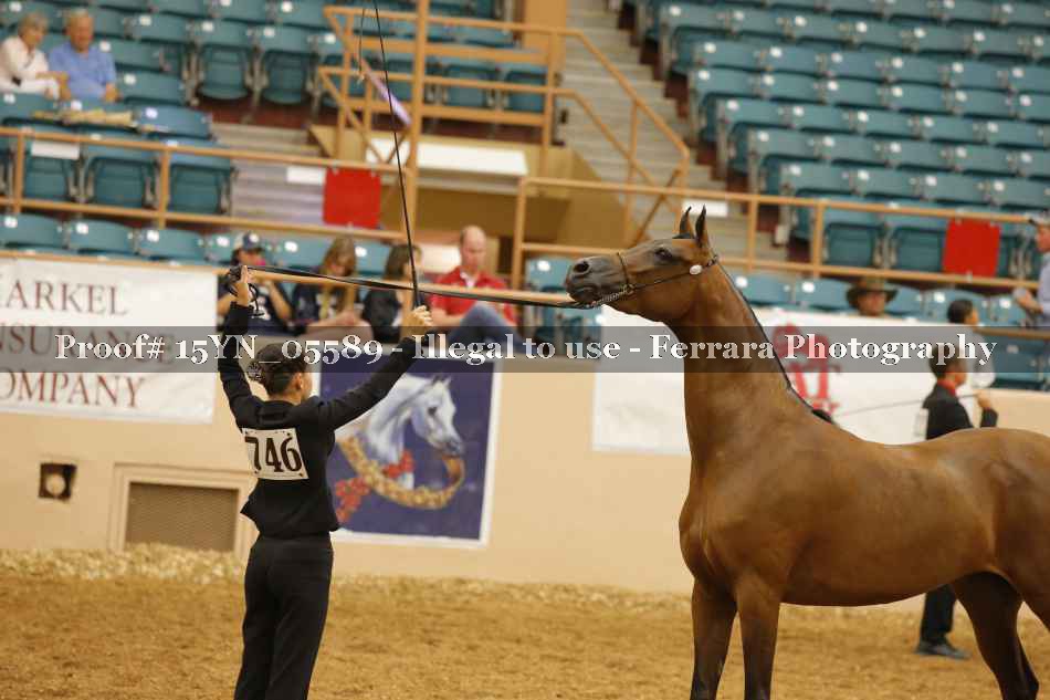 Proof 15YN_05589