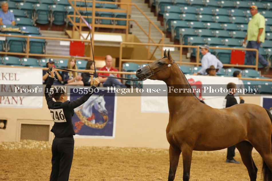 Proof 15YN_05590