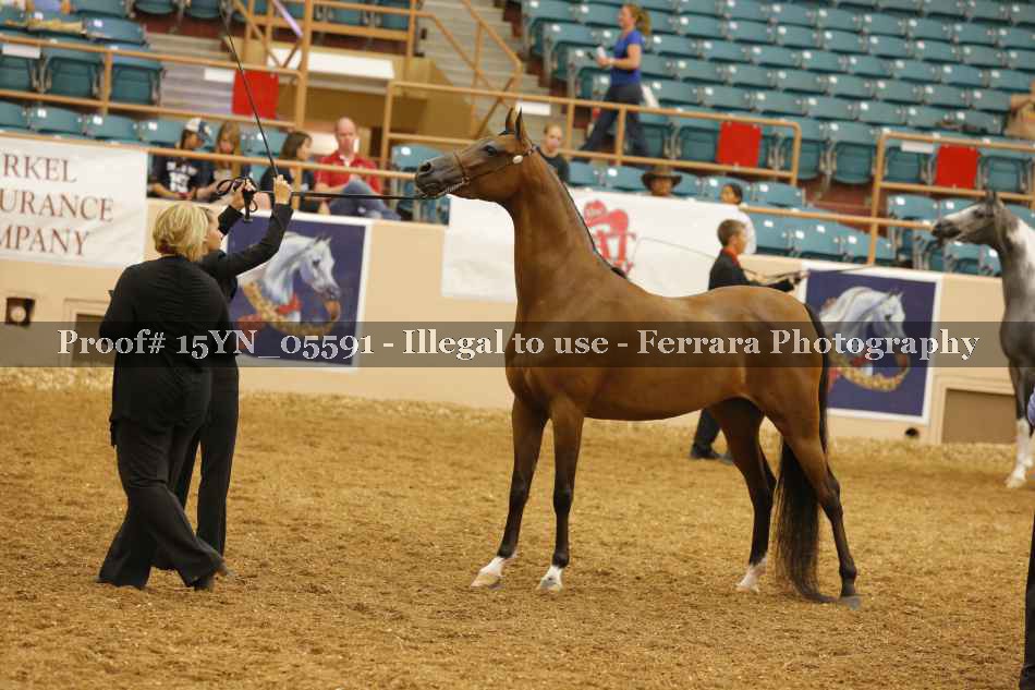 Proof 15YN_05591
