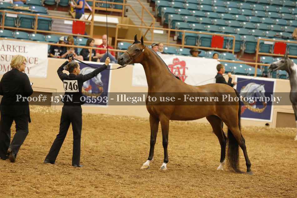 Proof 15YN_05593