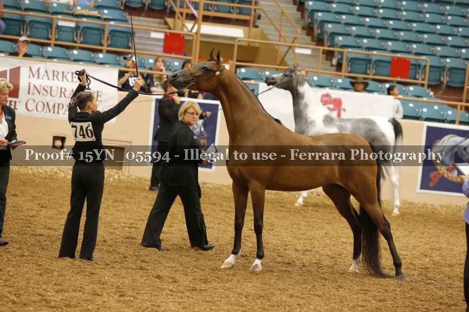 Proof 15YN_05594