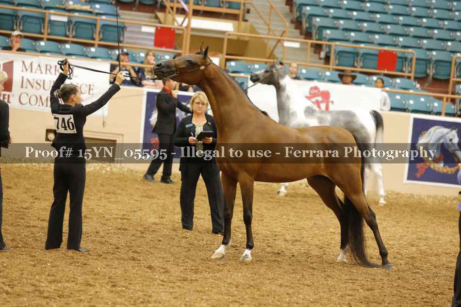 Proof 15YN_05595