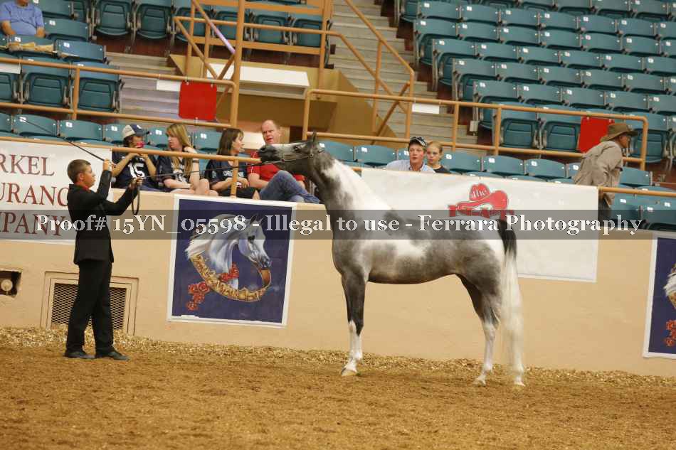 Proof 15YN_05598