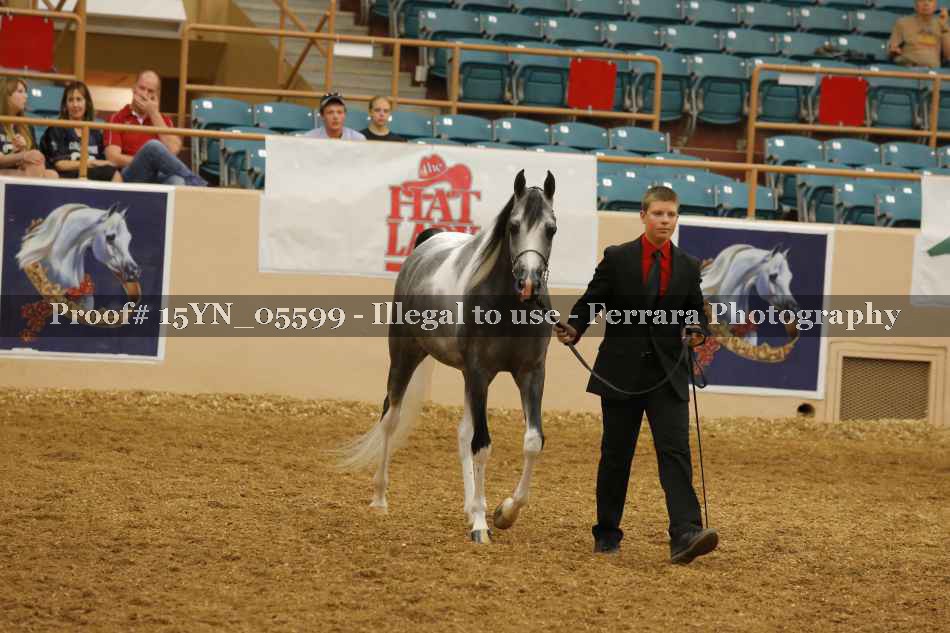 Proof 15YN_05599