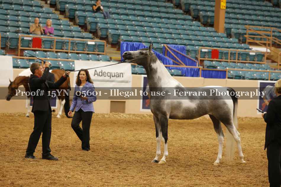 Proof 15YN_05601