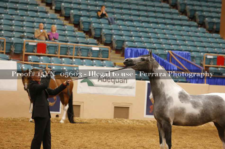 Proof 15YN_05603