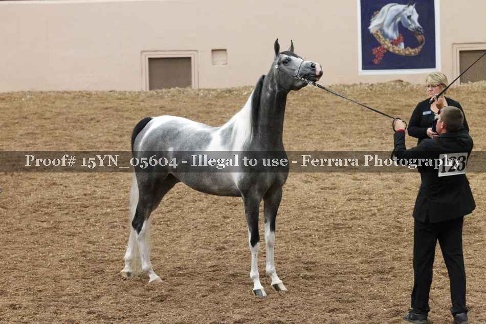 Proof 15YN_05604
