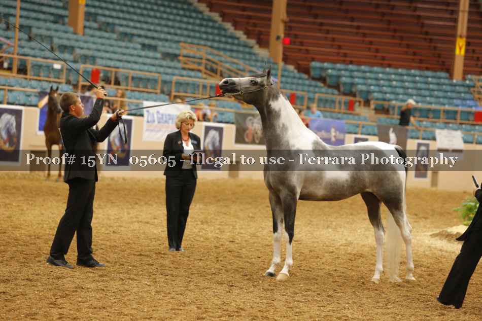 Proof 15YN_05605