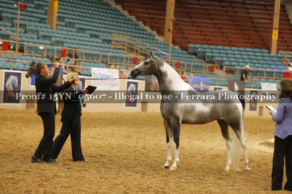 Proof 15YN_05607