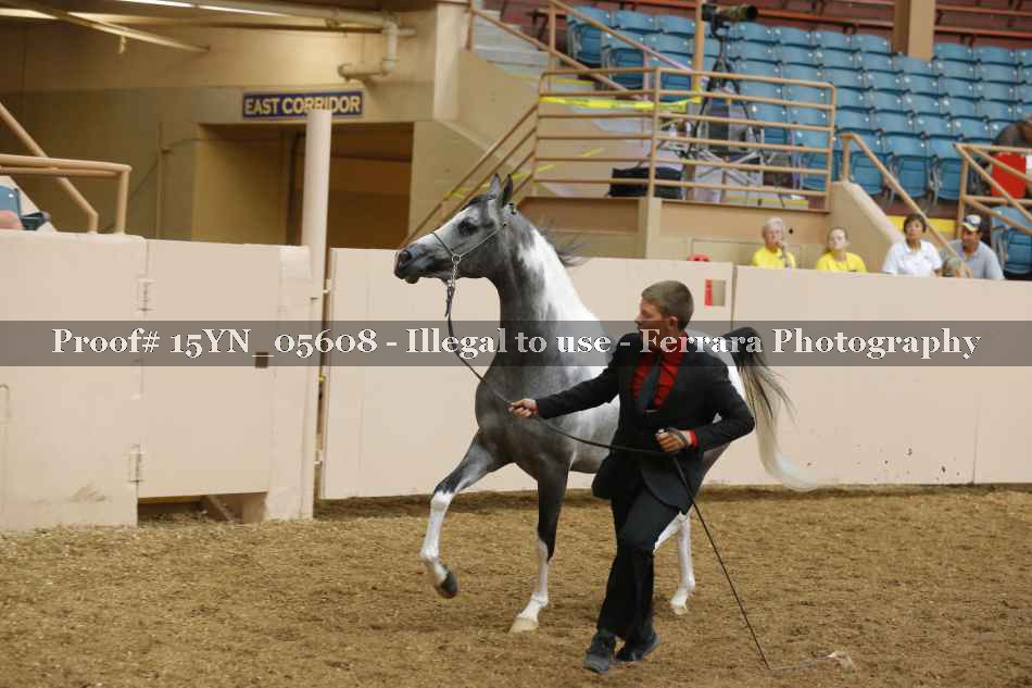 Proof 15YN_05608