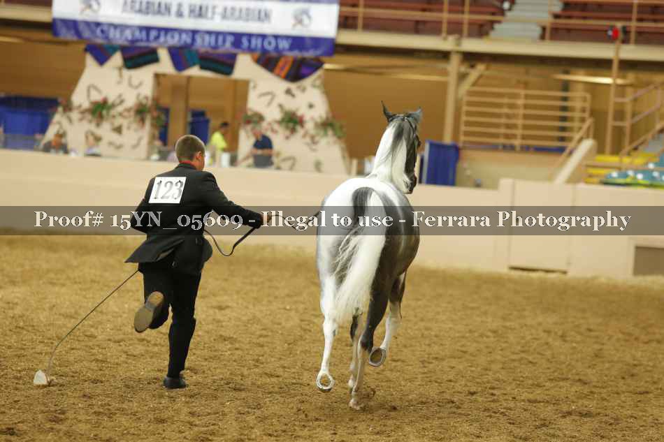 Proof 15YN_05609