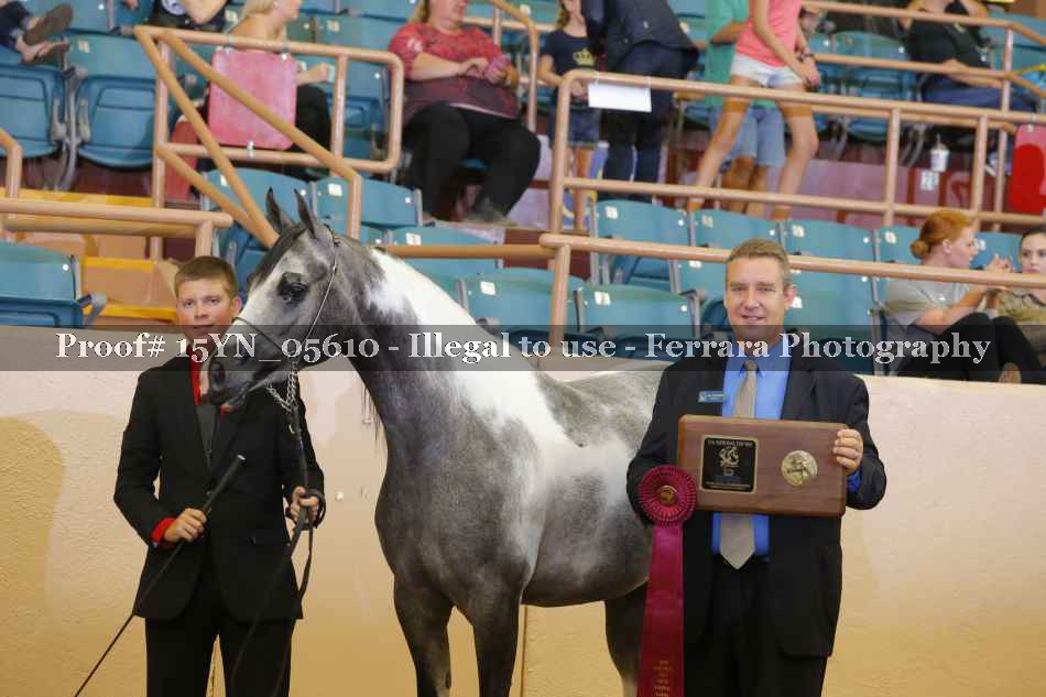 Proof 15YN_05610