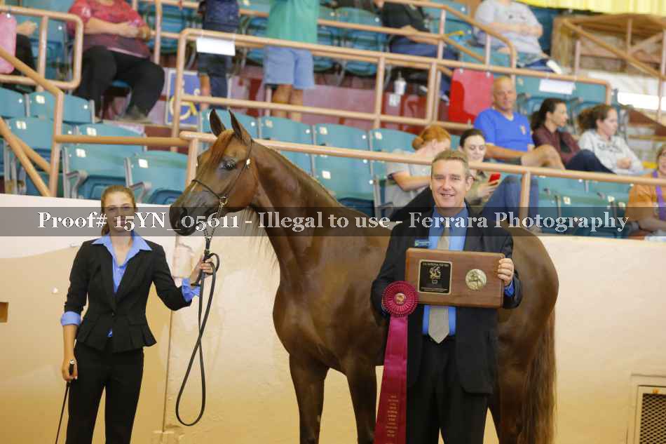 Proof 15YN_05611