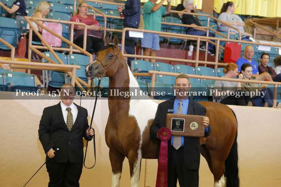 Proof 15YN_05614
