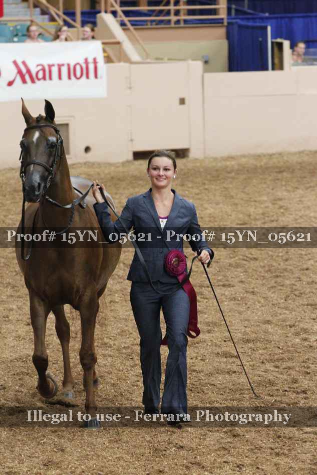 Proof 15YN_05621