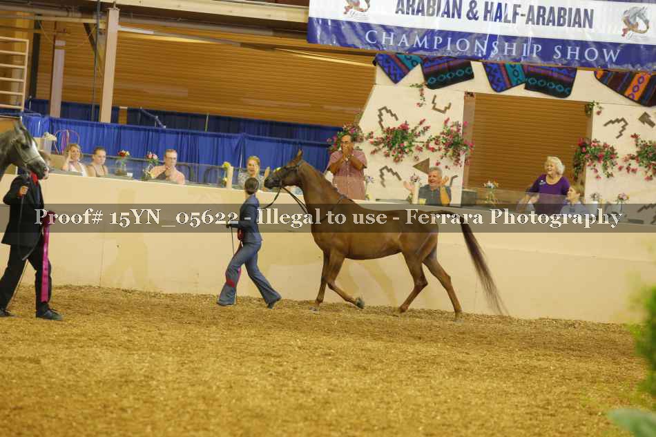 Proof 15YN_05622