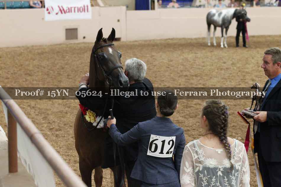 Proof 15YN_05624