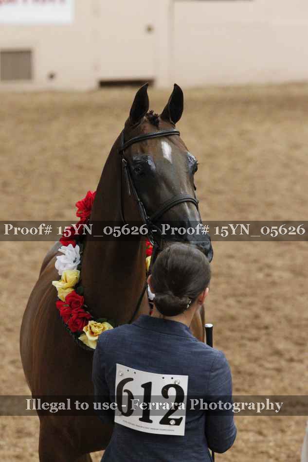 Proof 15YN_05626