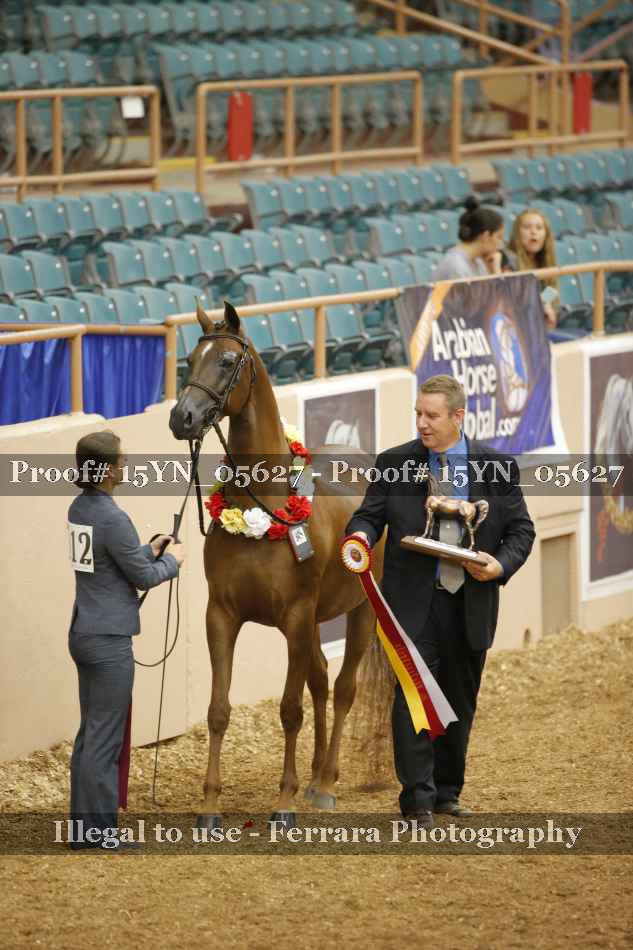 Proof 15YN_05627