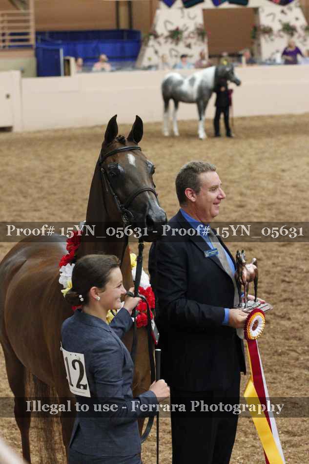 Proof 15YN_05631