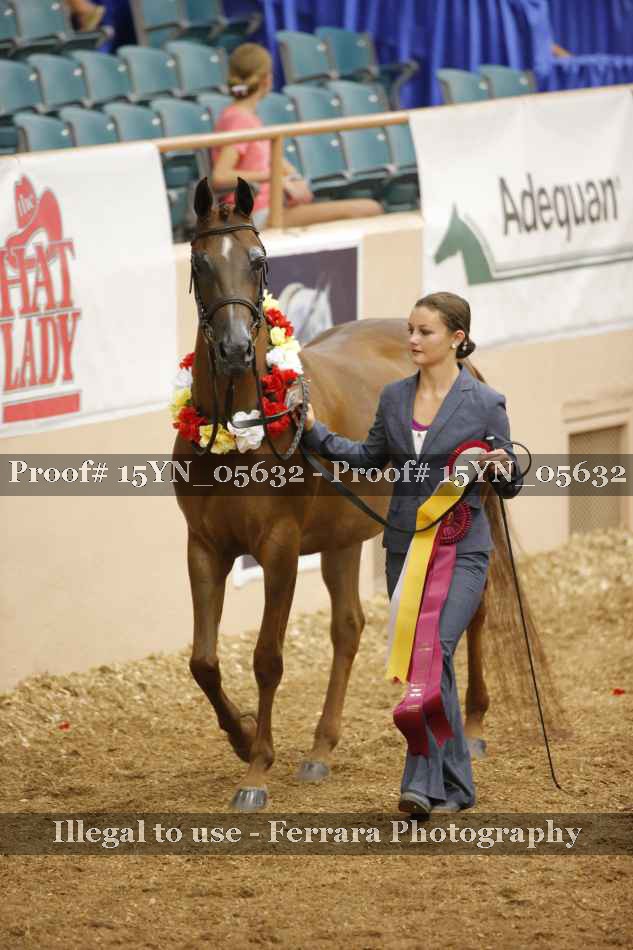 Proof 15YN_05632
