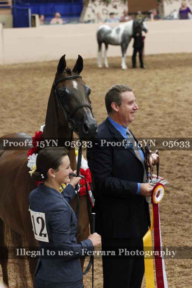 Proof 15YN_05633