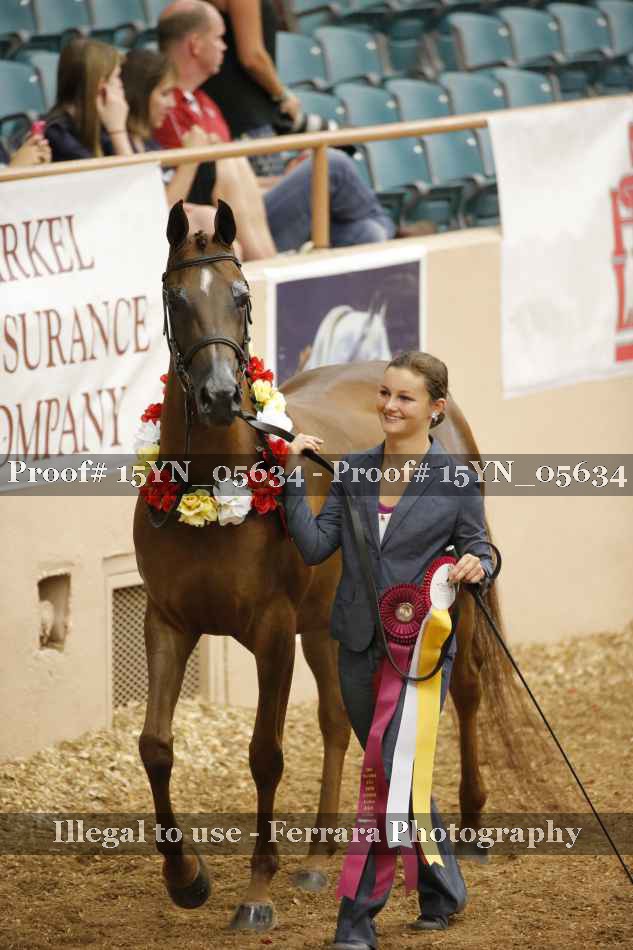 Proof 15YN_05634