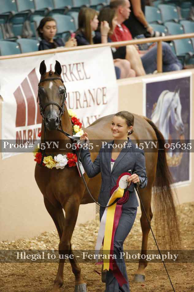 Proof 15YN_05635