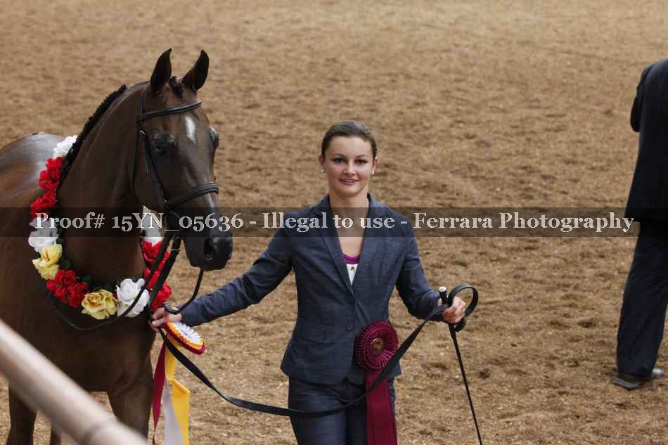Proof 15YN_05636