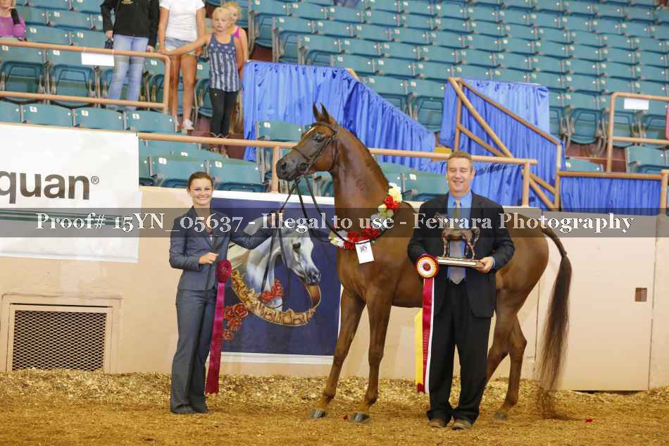 Proof 15YN_05637
