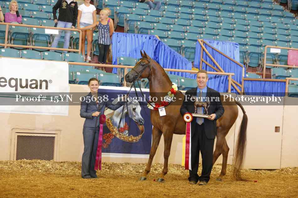 Proof 15YN_05638
