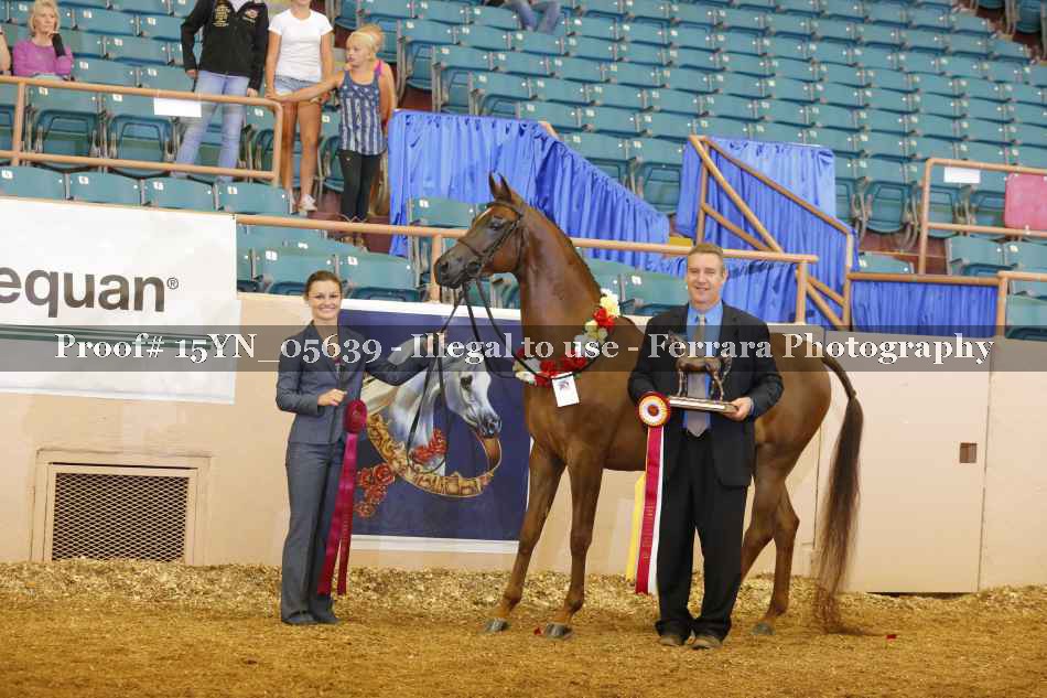 Proof 15YN_05639