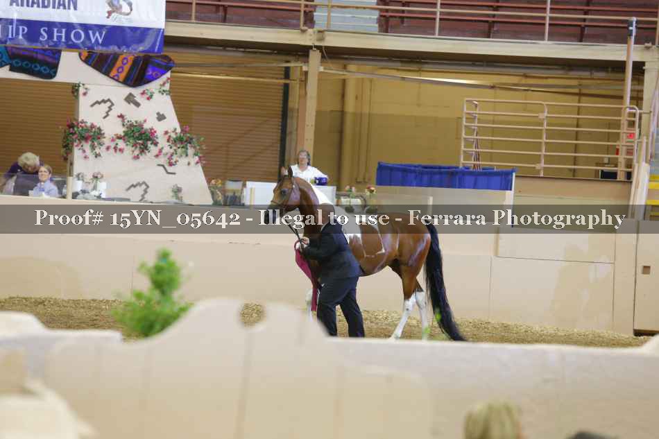 Proof 15YN_05642