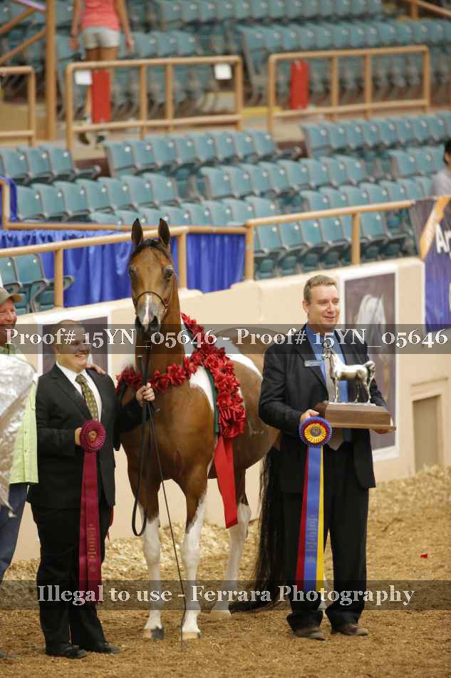 Proof 15YN_05646
