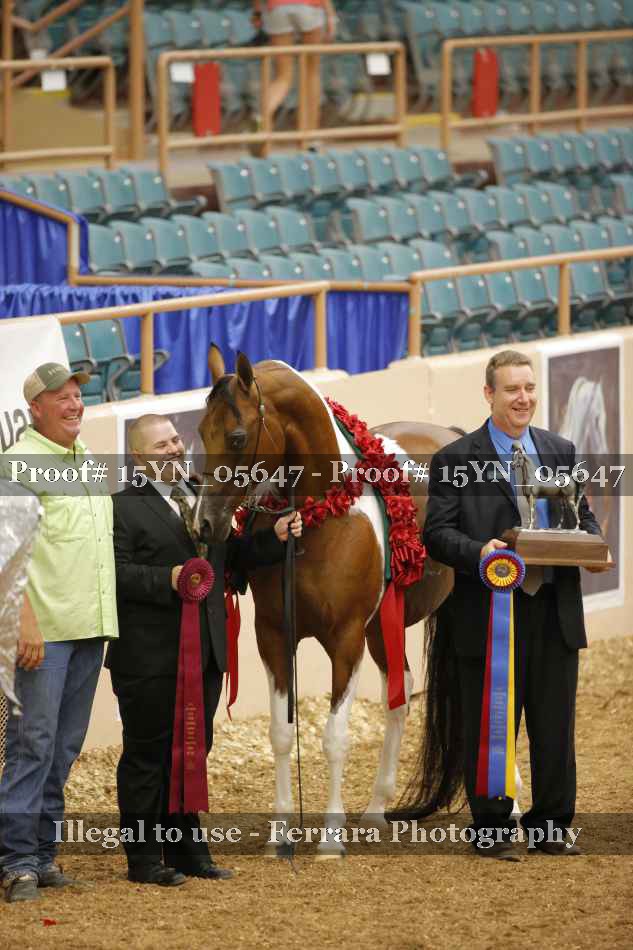 Proof 15YN_05647