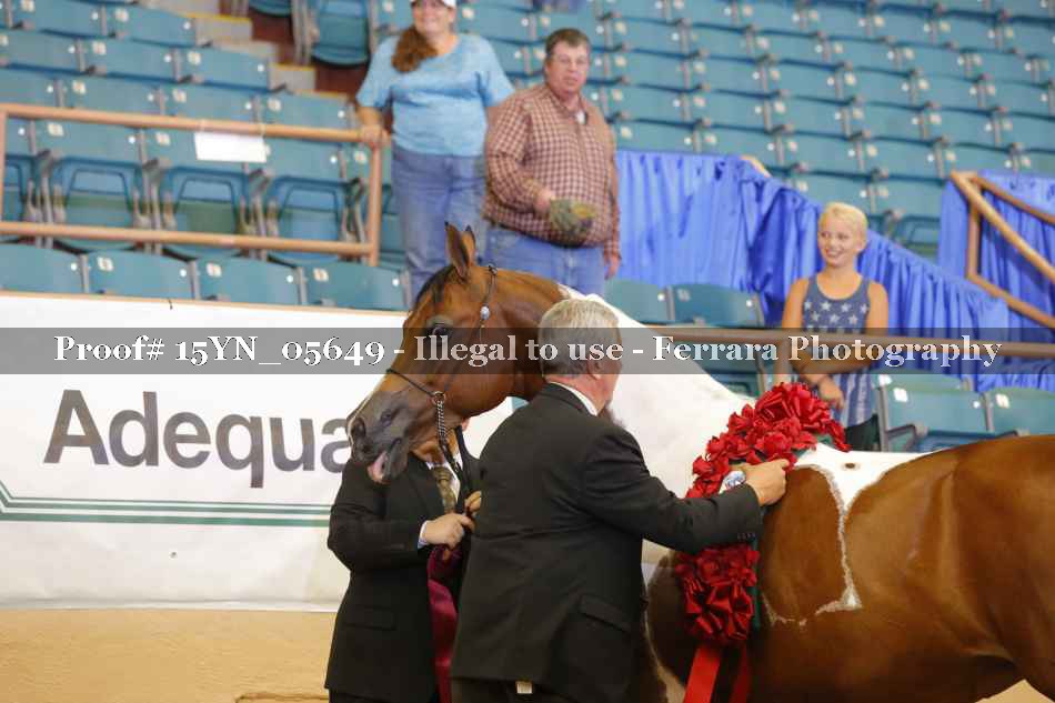 Proof 15YN_05649