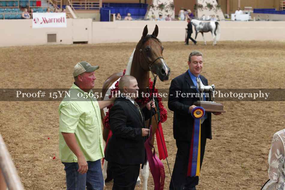 Proof 15YN_05651