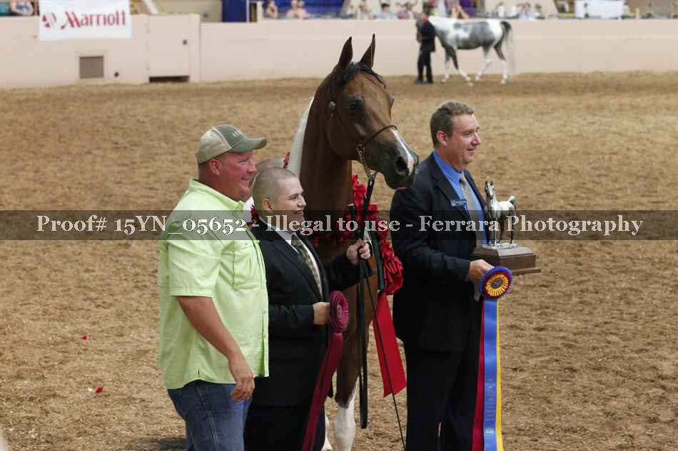 Proof 15YN_05652