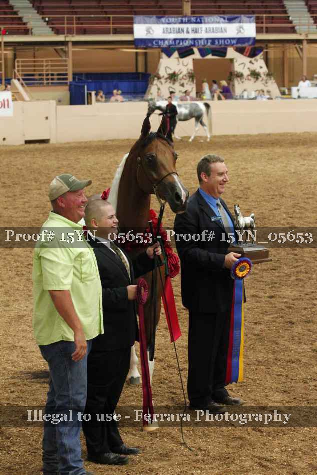 Proof 15YN_05653