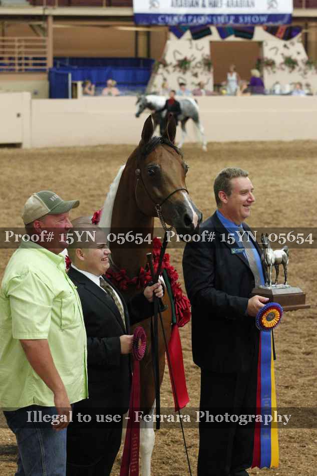 Proof 15YN_05654