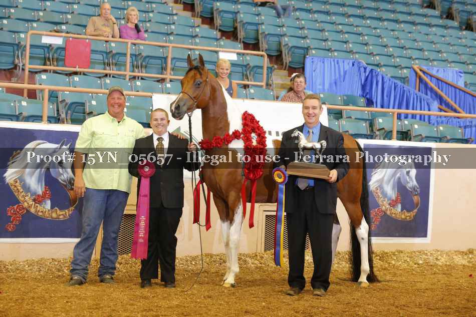 Proof 15YN_05657
